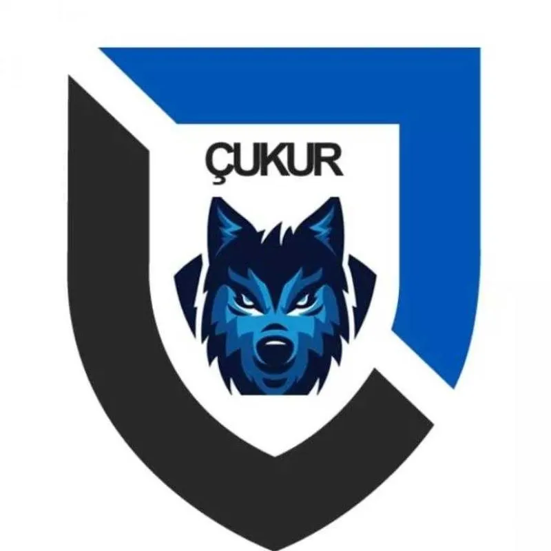 Kökü olmayan bir ağacın dalı da olur mu? Yada olmaz mı?